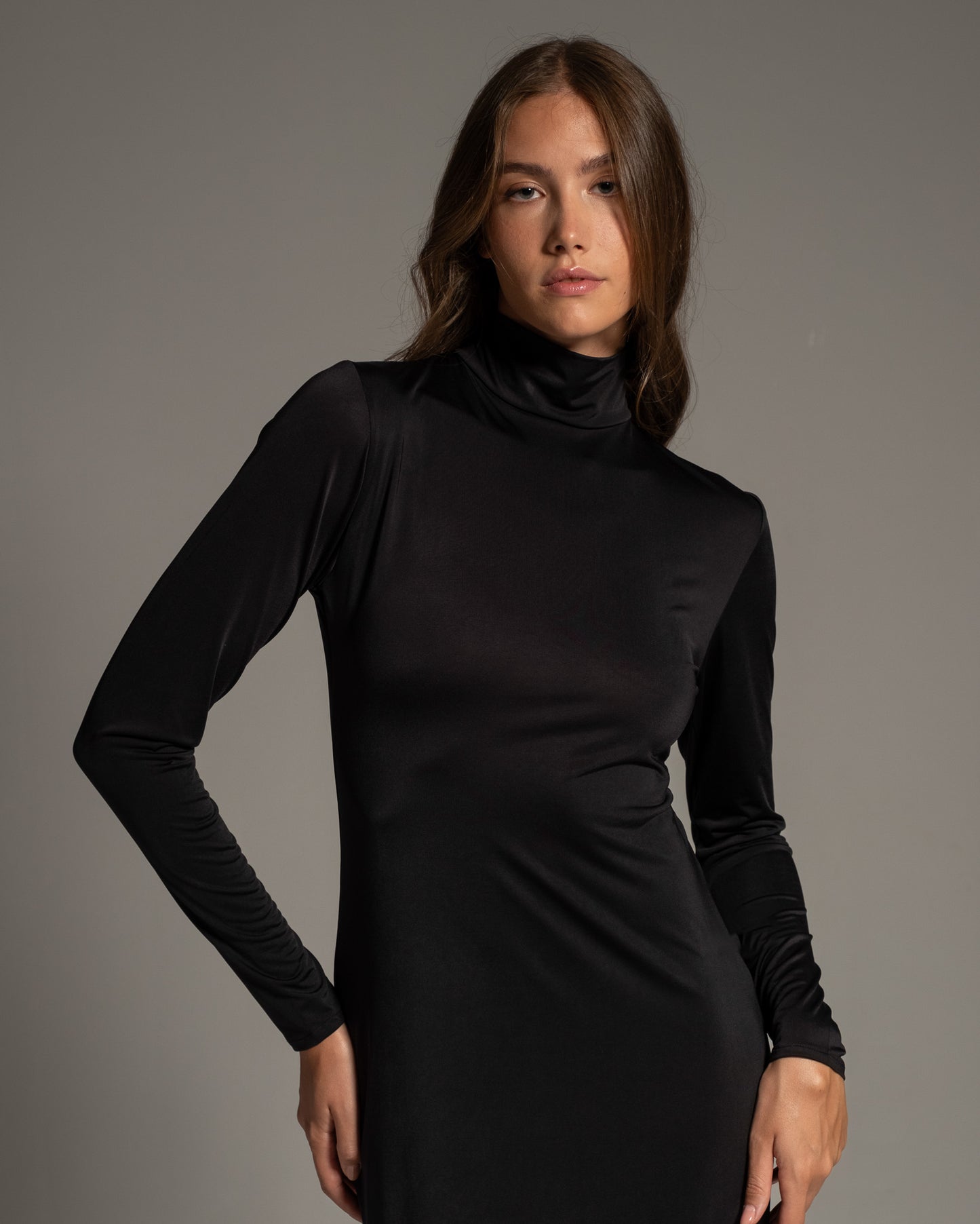 Turtleneck Maxi Dress